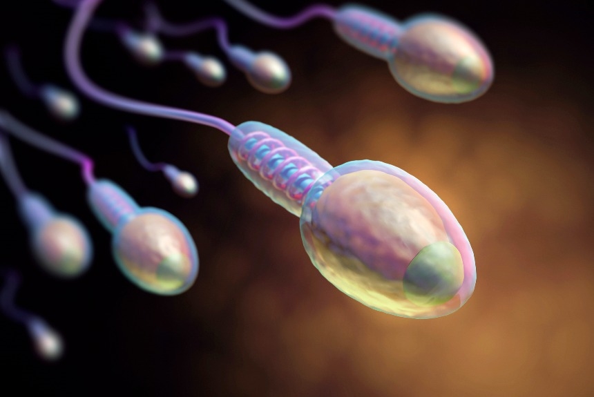 10 полезных свойств спермы для здоровья женщин